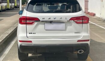 HAVAL 哈弗M6 2019 full