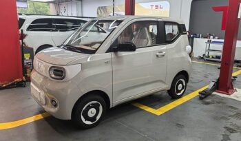 WULING MOTORS WULING HONGGUANG MINIEV 2024 full