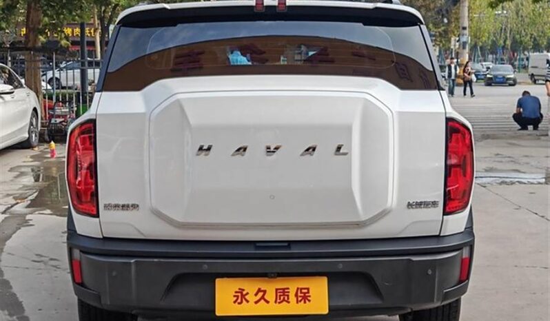 HAVAL COOL DOG 2023 full