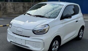 ROEWE CLEVER 2020 full