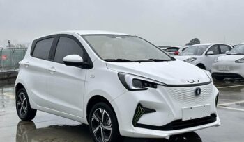 CHANGAN CHANGAN E-STAR 2022 full