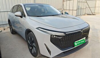 QICHEN DD-I HYBRID 2023 full