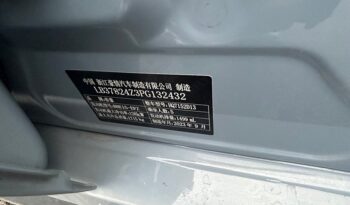 GEELY GEELY BINRUI 2024 full